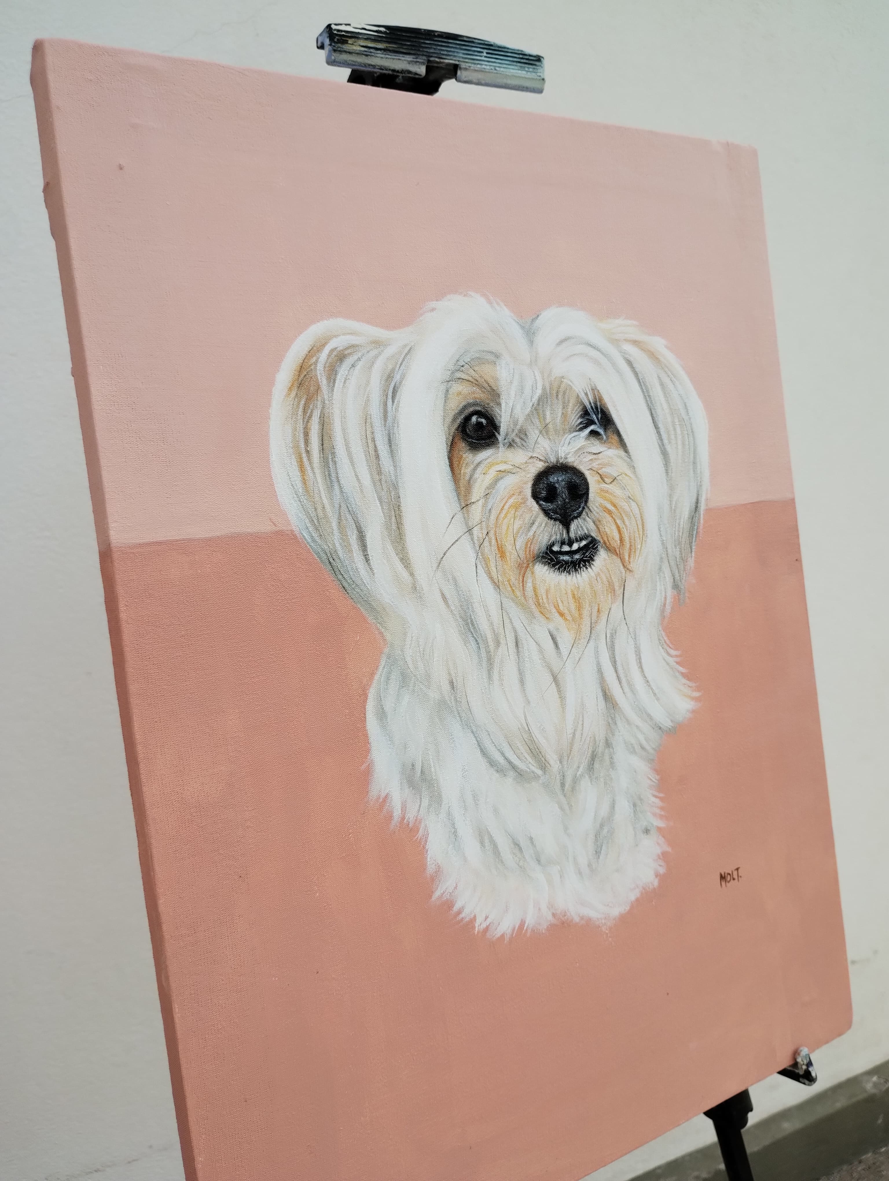 Pintura en óleo - Perro
